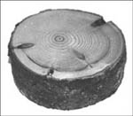 Wooden pucks were used in ice hockey's early history