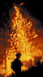 A firefighter walks at the edge of a Western wildfire