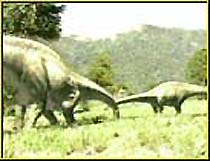 A family of sauropods grazing