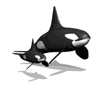 Animatin of adult and juvenile orca swimming