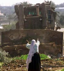 Palestinian woman defying bulldozer charged with clearing the area