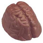 Chocolate molded to look like a brain