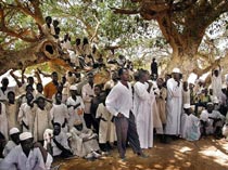 Sudanese refugees in Chad find shelter under a tree in the West-Darfur Internal Displaced People camp of Sisi