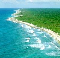 The Caribbean coastline of the Yucatan Peninsula in Mexico.