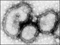 A microscopic view of a flu virus.
