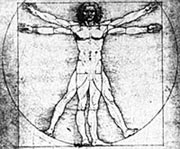 Leonardo da Vinci's  Vitruvian Man.