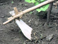 Early farmers found hoes to be helpful tools in sowing crops.