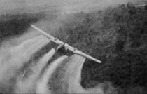 Millions of gallons of Agent Orange and other poisonous herbicides were sprayed over Vietnam during the 1960s.