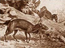 Fossils of the hyracotherium indicate that it is the earliest known ancestor of the modern horse.