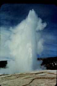 The Old Faithful geyser at Yellowstone National Park.
