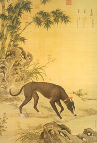 A number of dog breeds were developed in China over centuries.