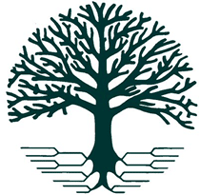 Family trees help piece together people's ancestral roots.